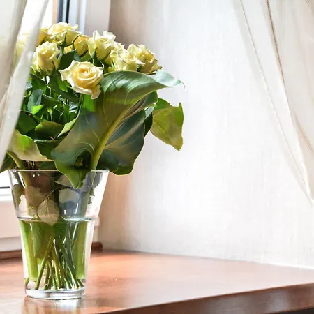 Komoda Club Aparthotel 4*